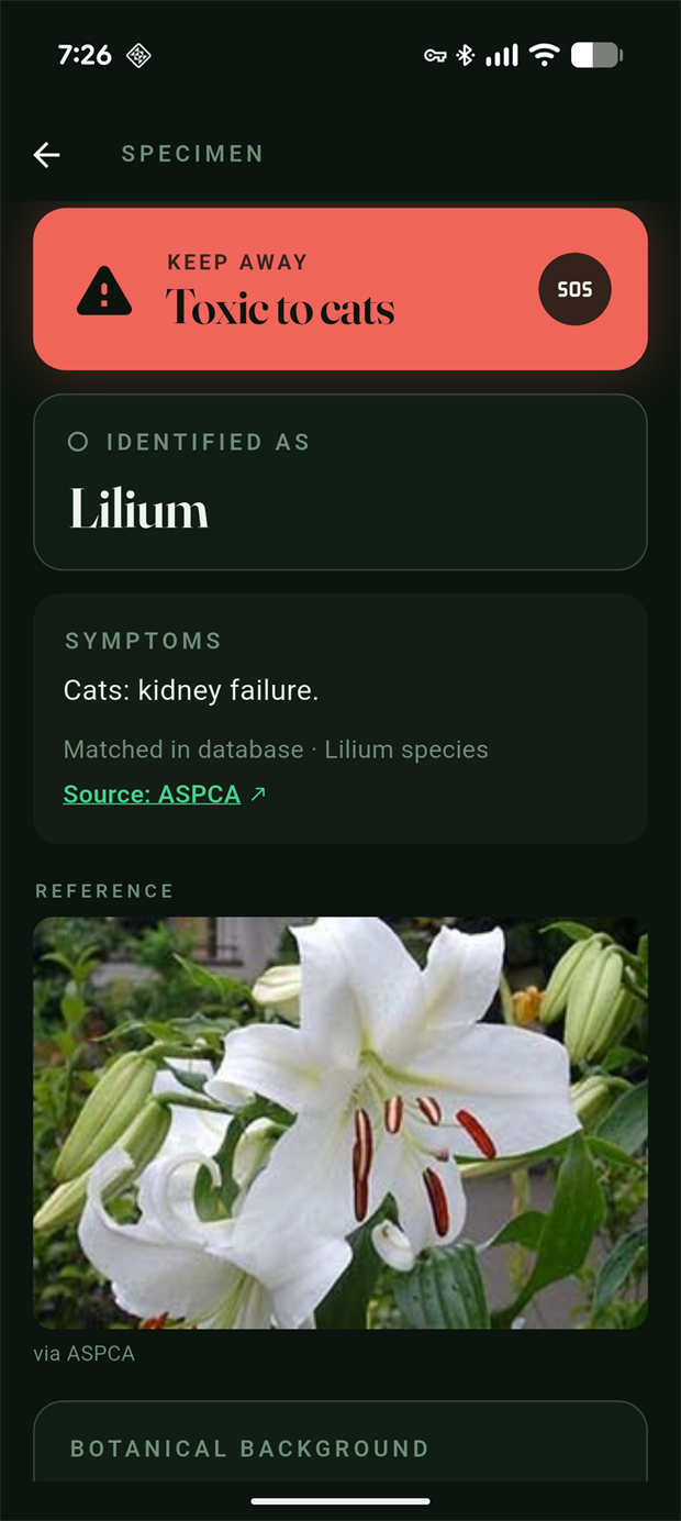 Toxic verdict: red KEEP AWAY band for Lilium with ASPCA-reported symptoms and source link