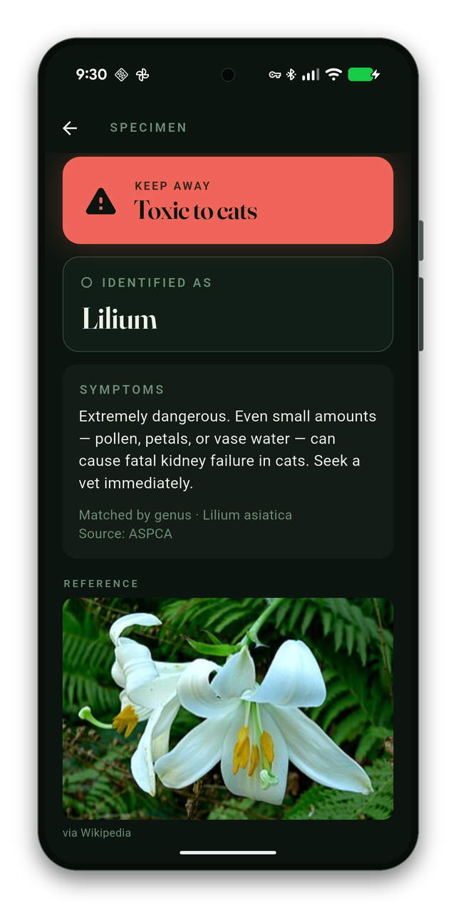 Cat Plants Mobile App